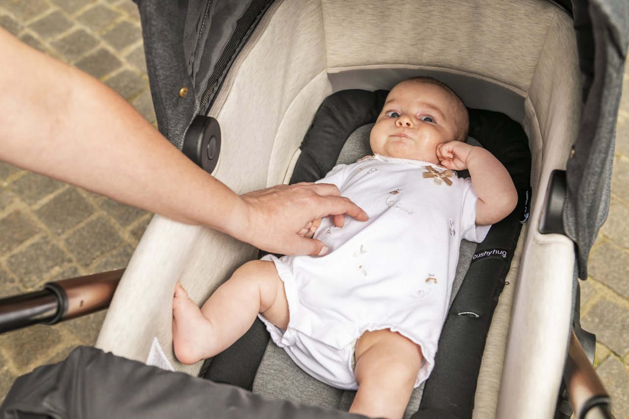 Duo Mysa con capazo Gran Comfort Chicco - 25