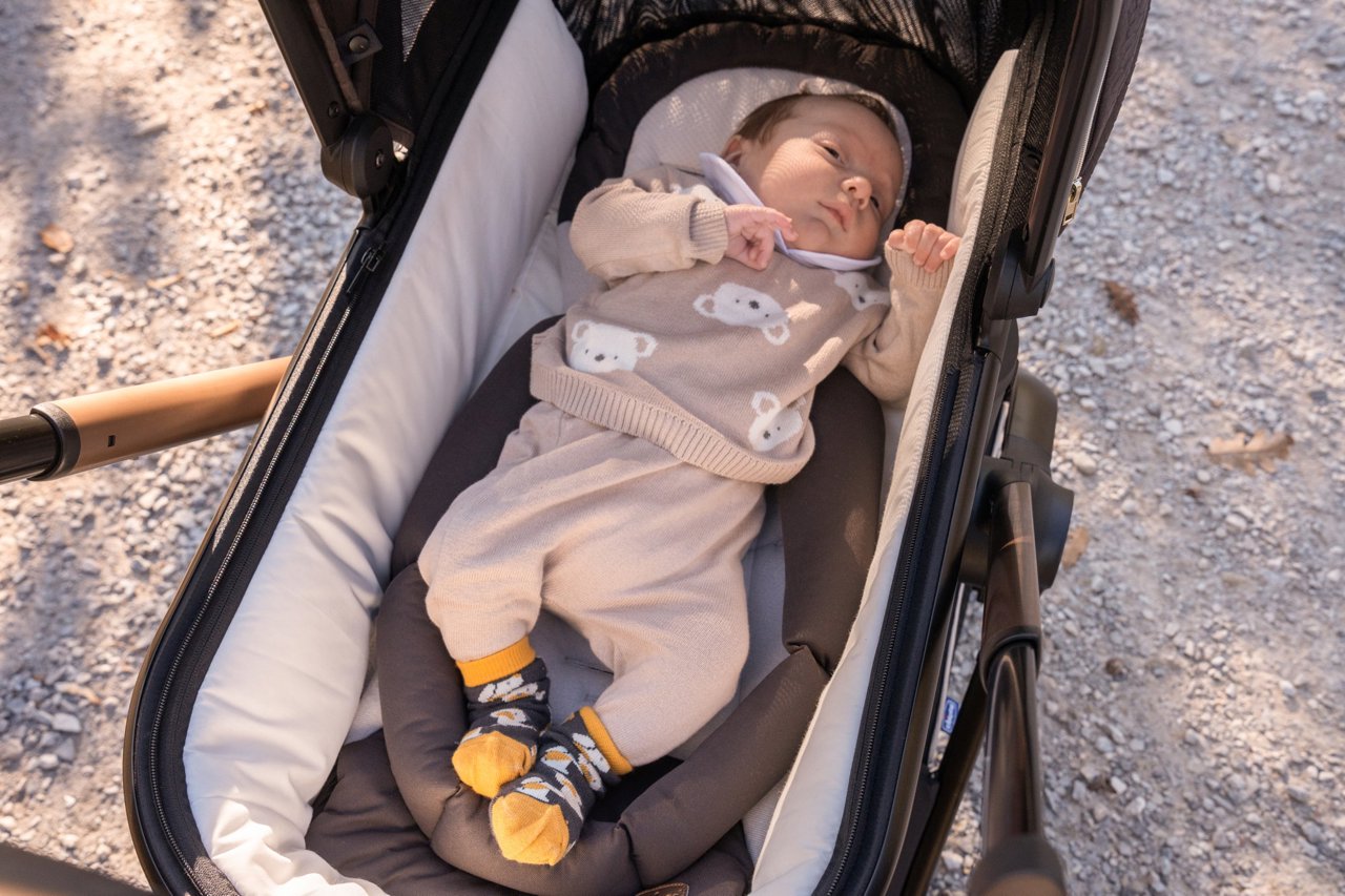 Люлька MYSA LIGHT CARRYCOT BRONZE LIZARD RE_LUX null - 2