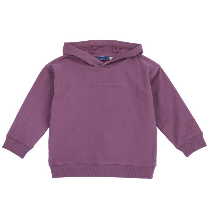 Sweatshirt com capuz