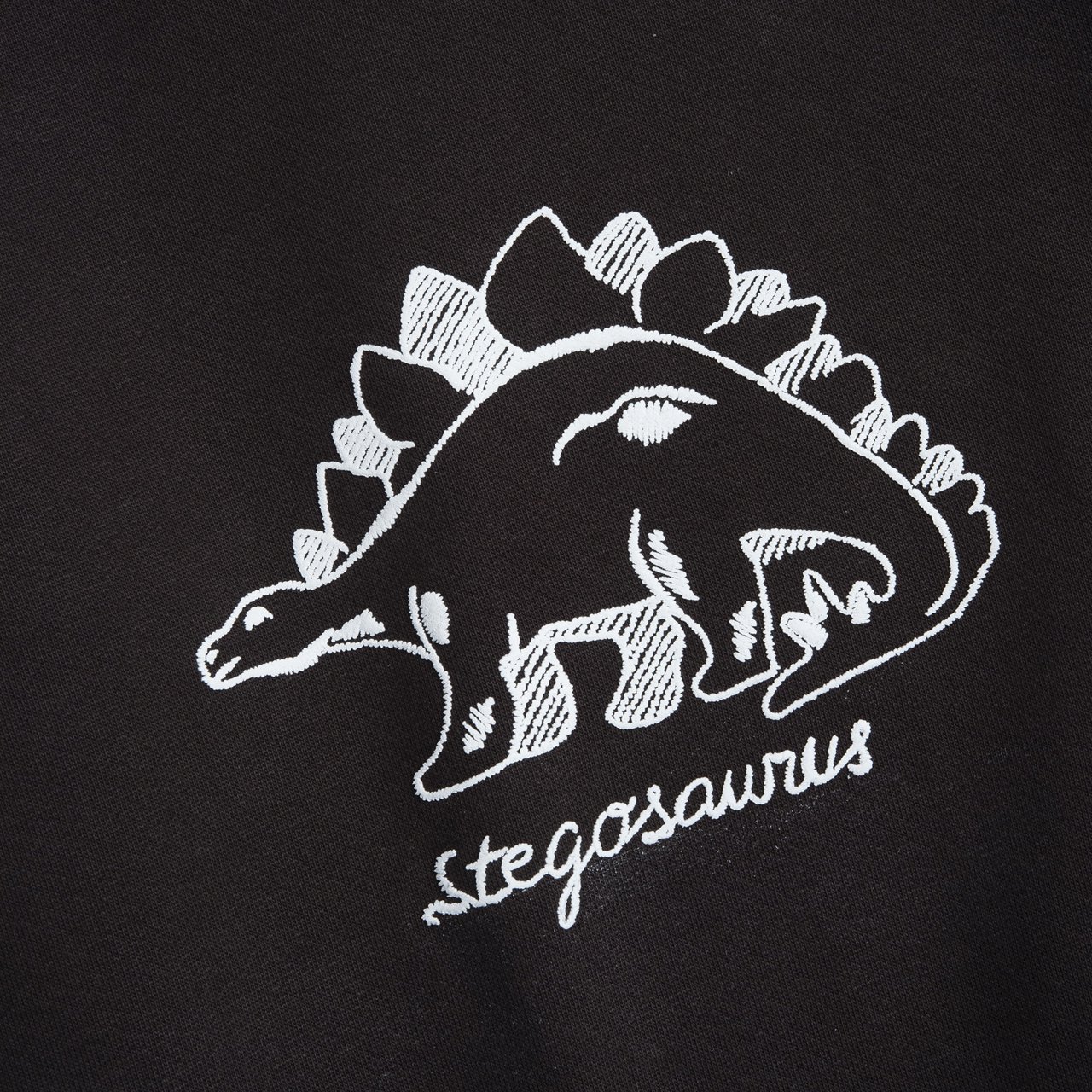 Felpa Dinosauro null - 1