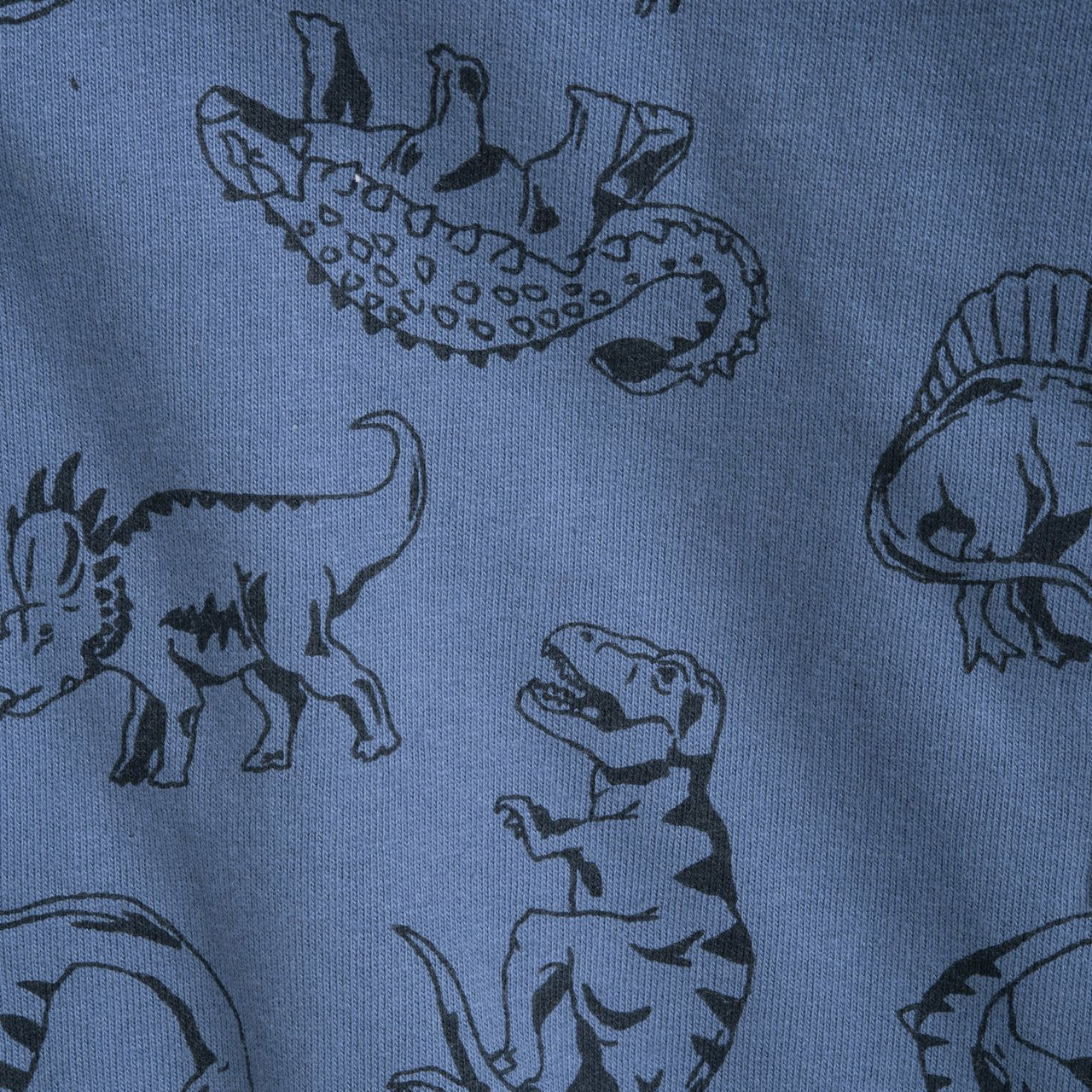 Sweat avec zip motif dinosaure Chicco - 4