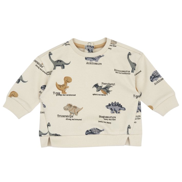 Camisola com padrão de dinossauros