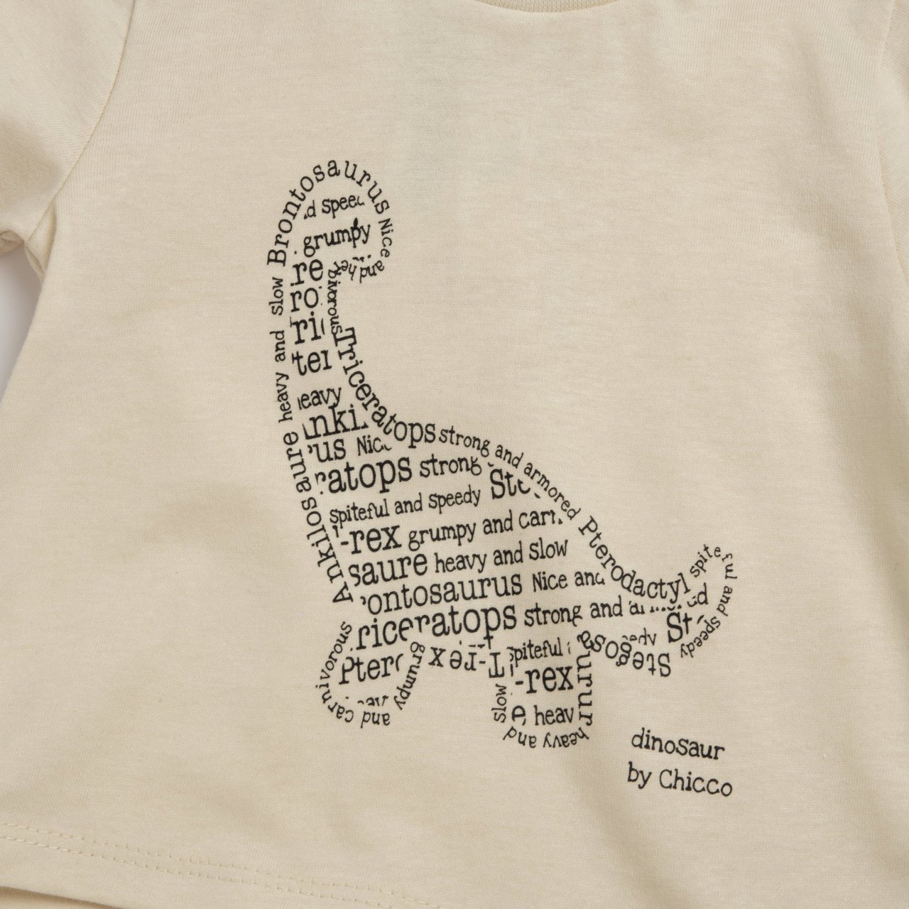 Camiseta Dinosaurio Chicco - 2