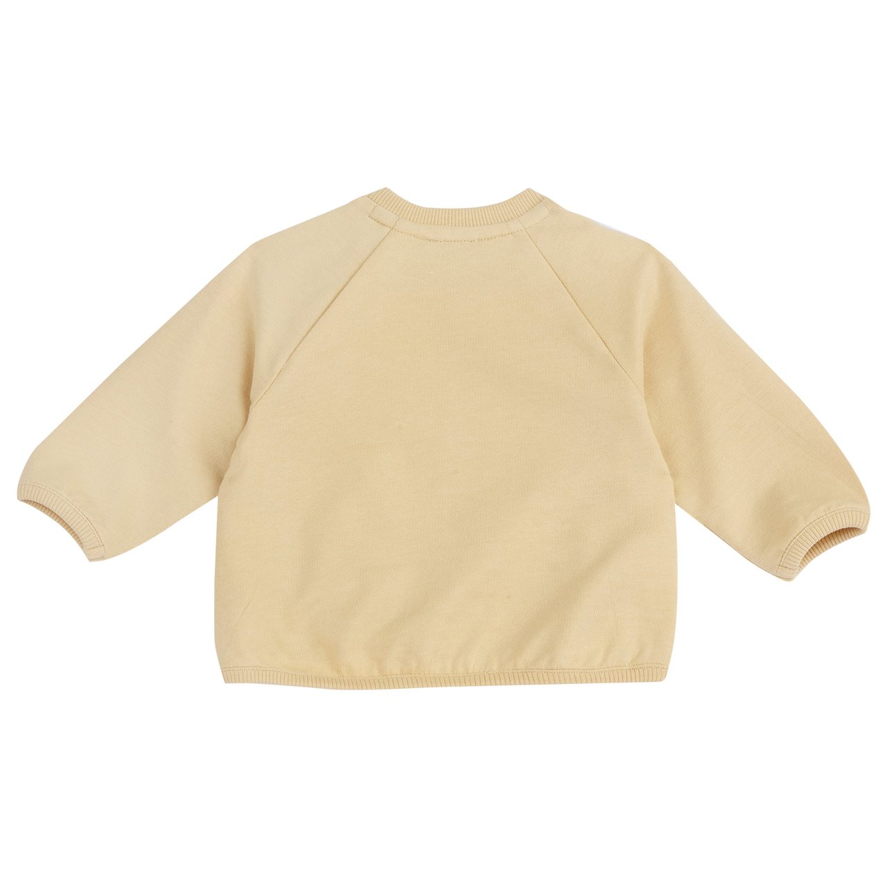 Jersey Tortugas Chicco - 1