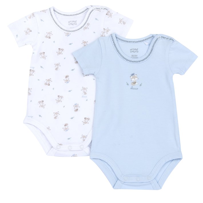 Conjunto de Bodies com Raposas
