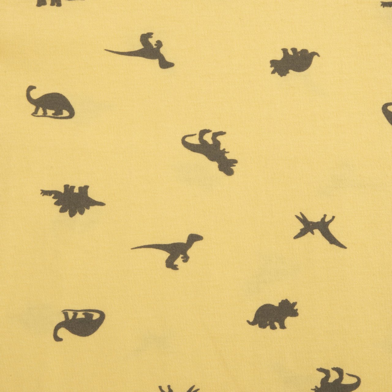 Maglietta manica corta fantasia Dinosauri Chicco - 2