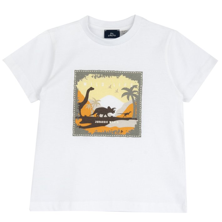 T-shirt met dinosaurus en korte mouwen