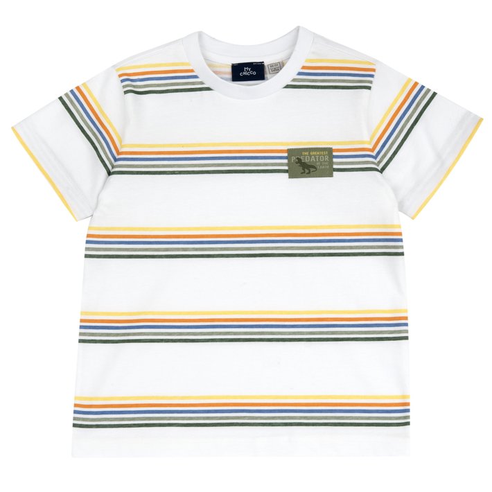 T-shirt ray&eacute; &agrave; manches courtes