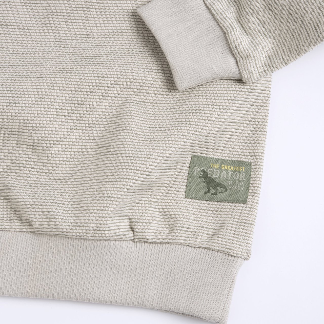 Jersey Dinosaurio Chicco - 2