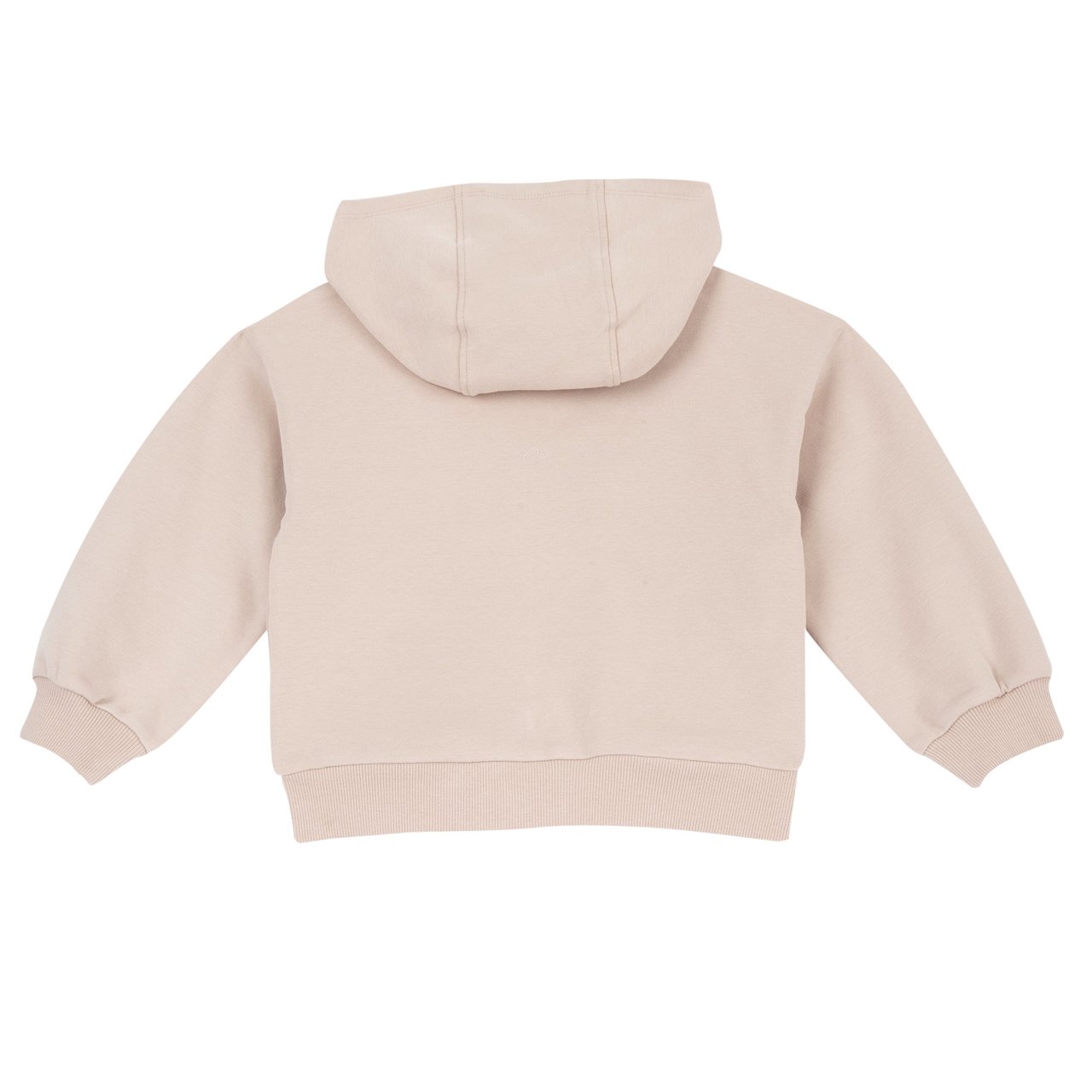 Felpa con cappuccio e zip  Chicco - 1