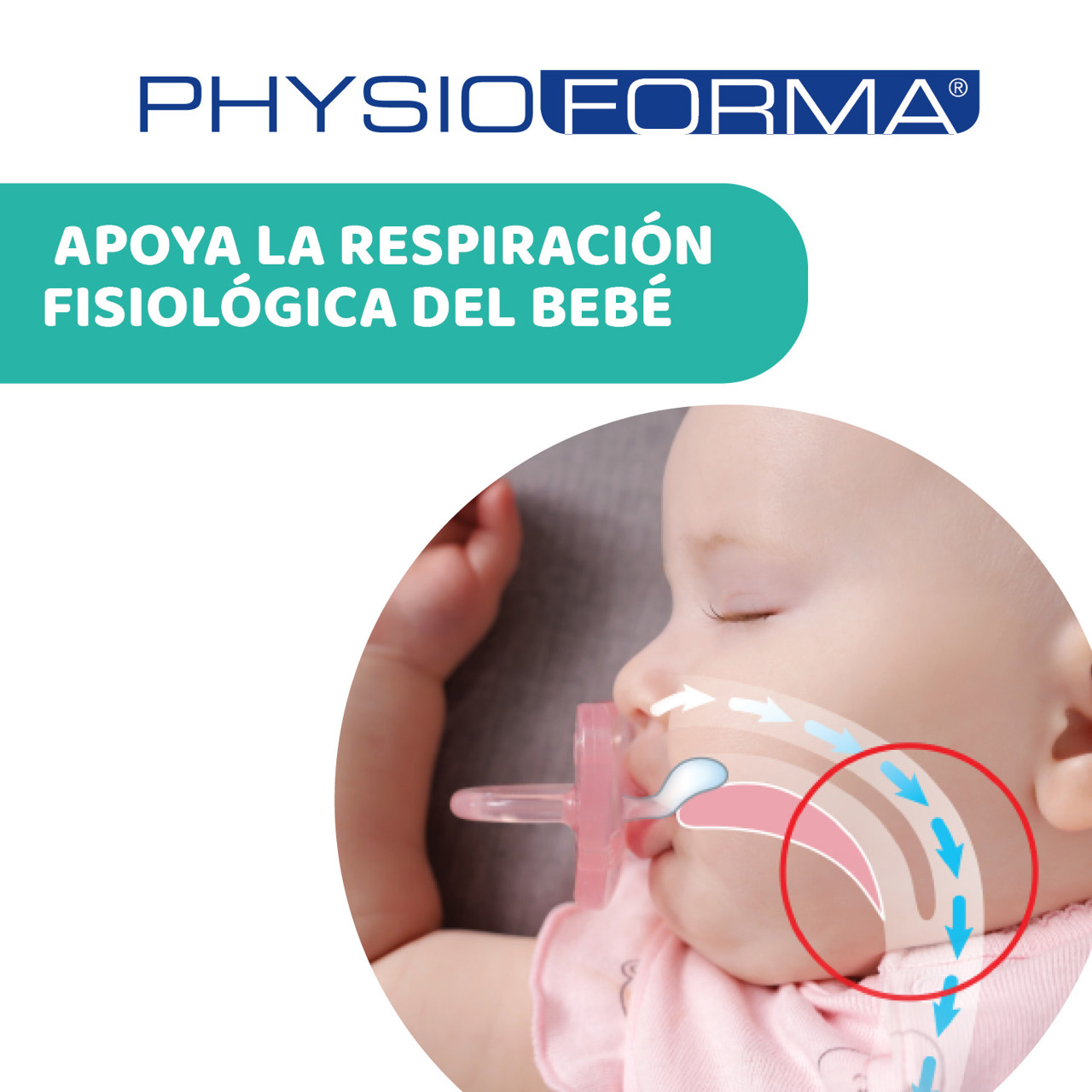 Chupete PhysioForma Soft 6m-16m 2ud image number 2