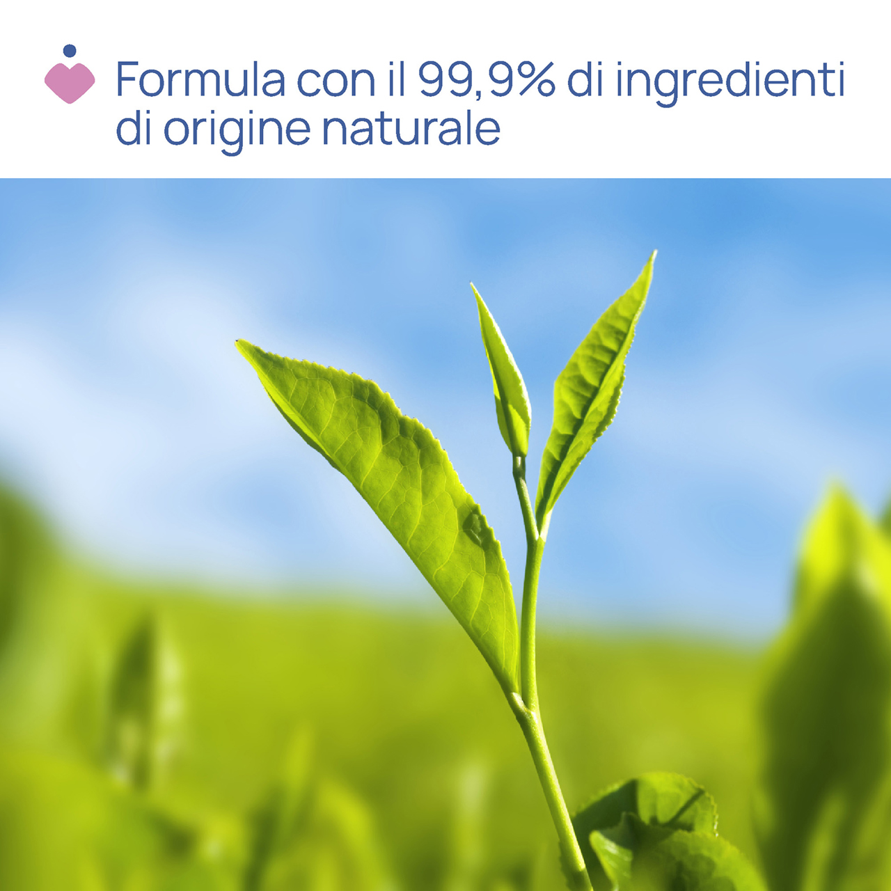 Olio per massaggio pre e post parto 4in1 null - 3