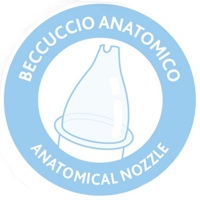 Anatomische Spitze