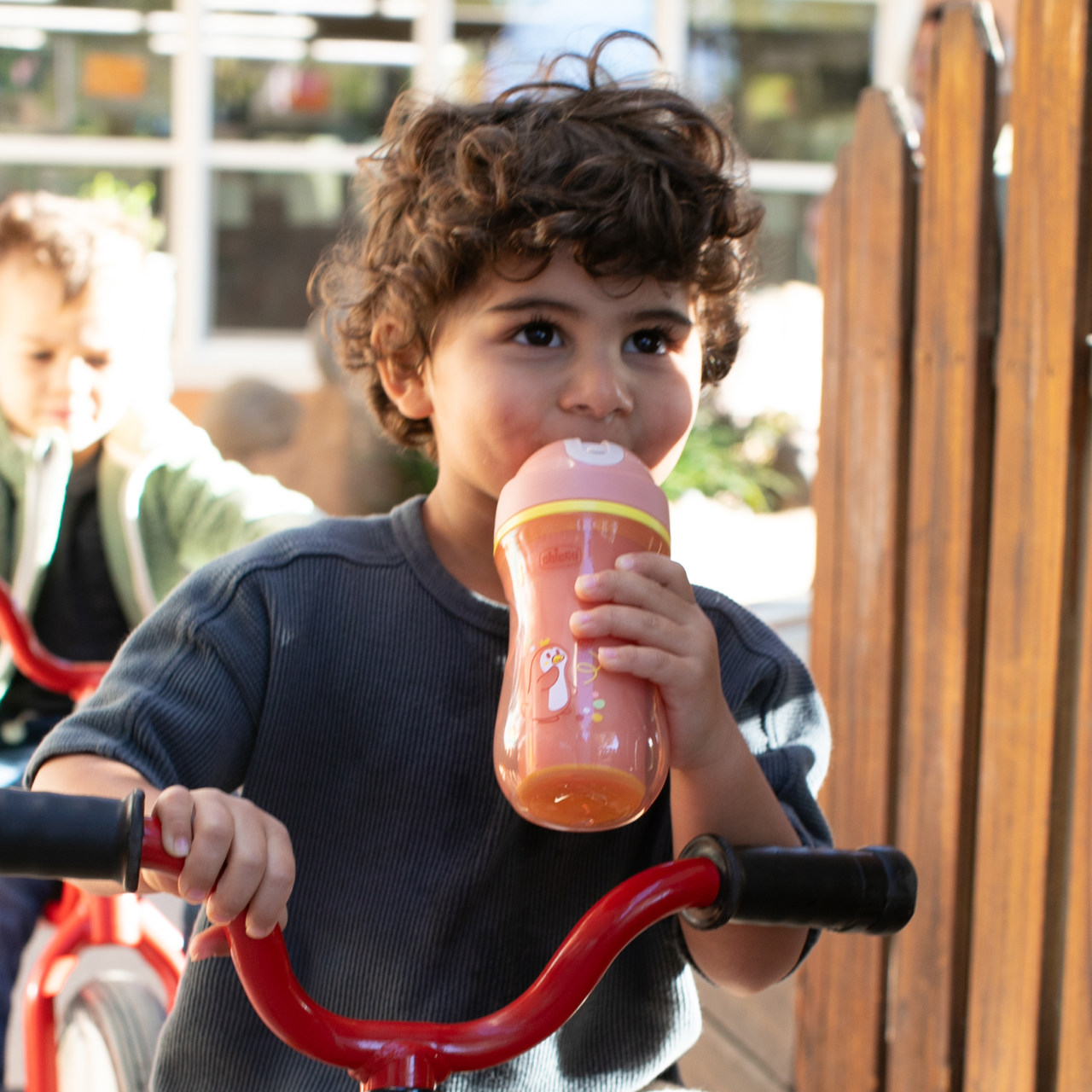 Sport Cup 14m+ null - 7