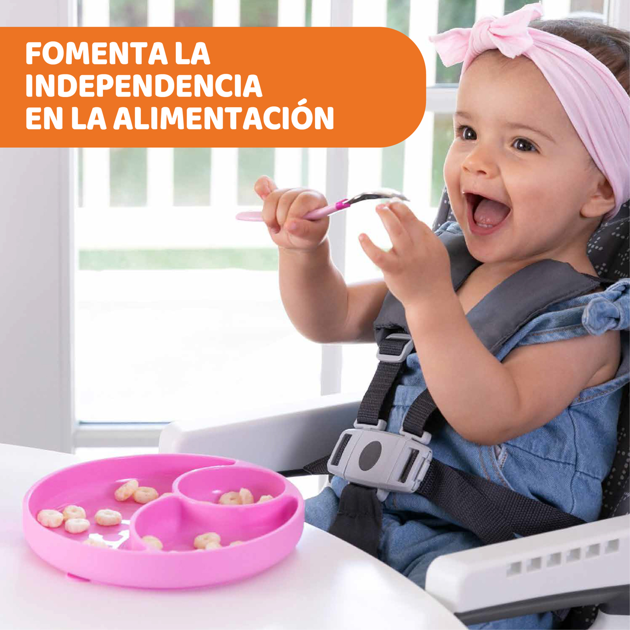 Plato con Divisiones null - 1