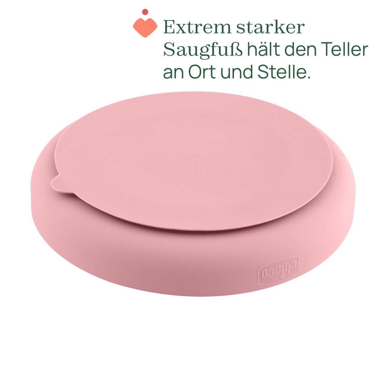 Silikon-Teller mit Unterteilungen und Saugfu&szlig; null - 6