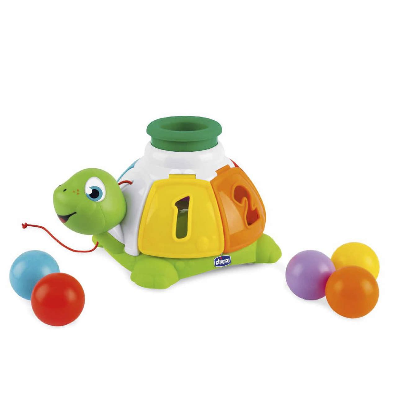 Juguetes Tortuga Organizadora null - 1