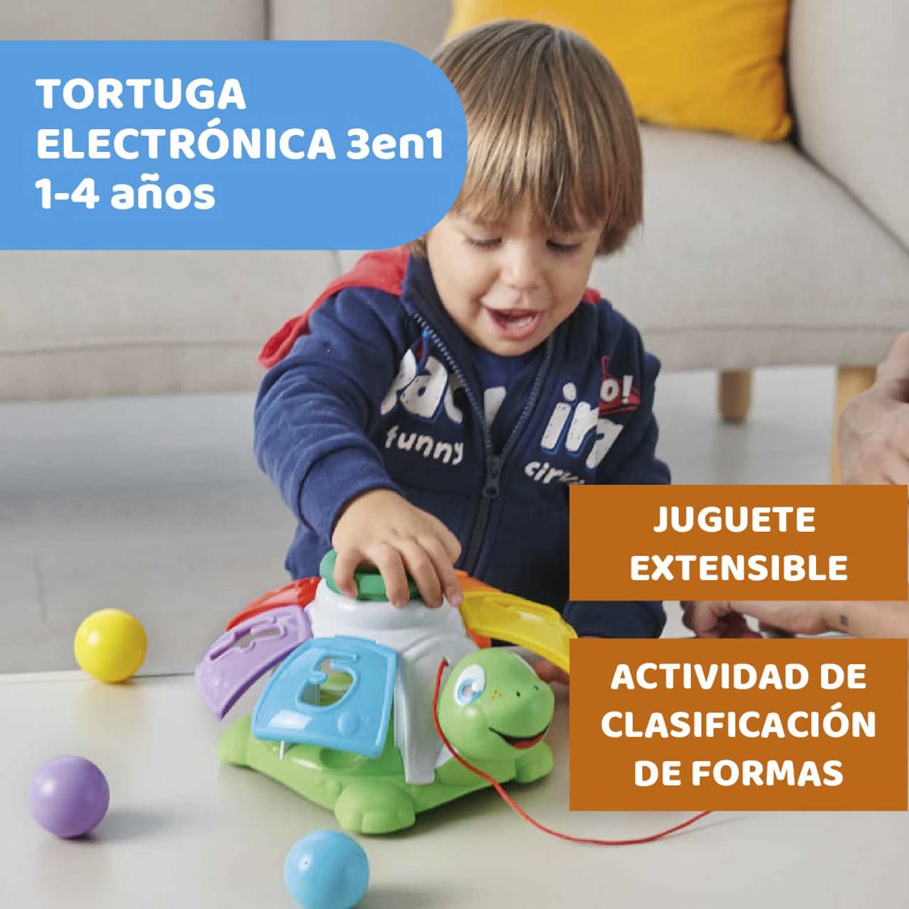 Juguetes Tortuga Organizadora null - 5