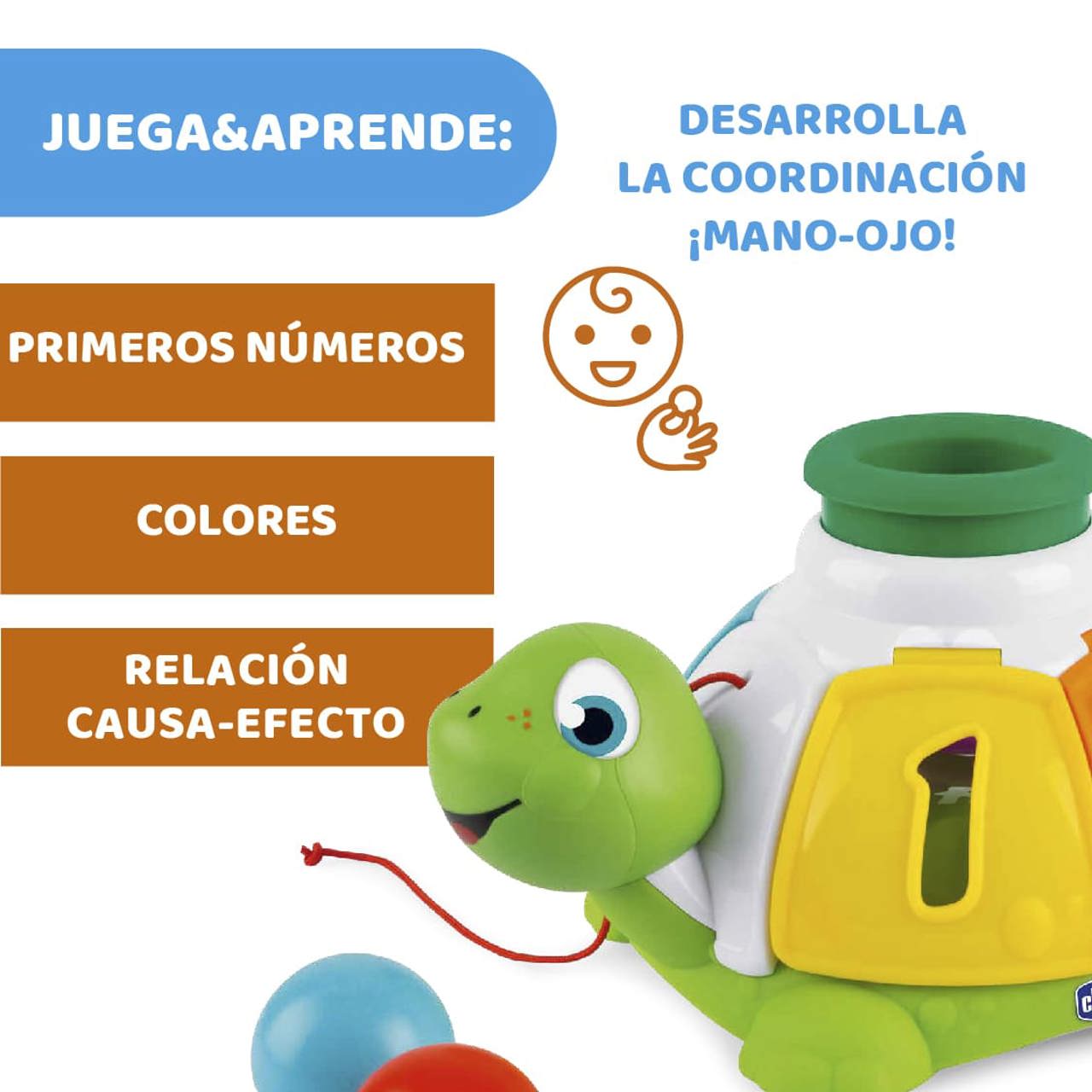 Juguetes Tortuga Organizadora null - 12