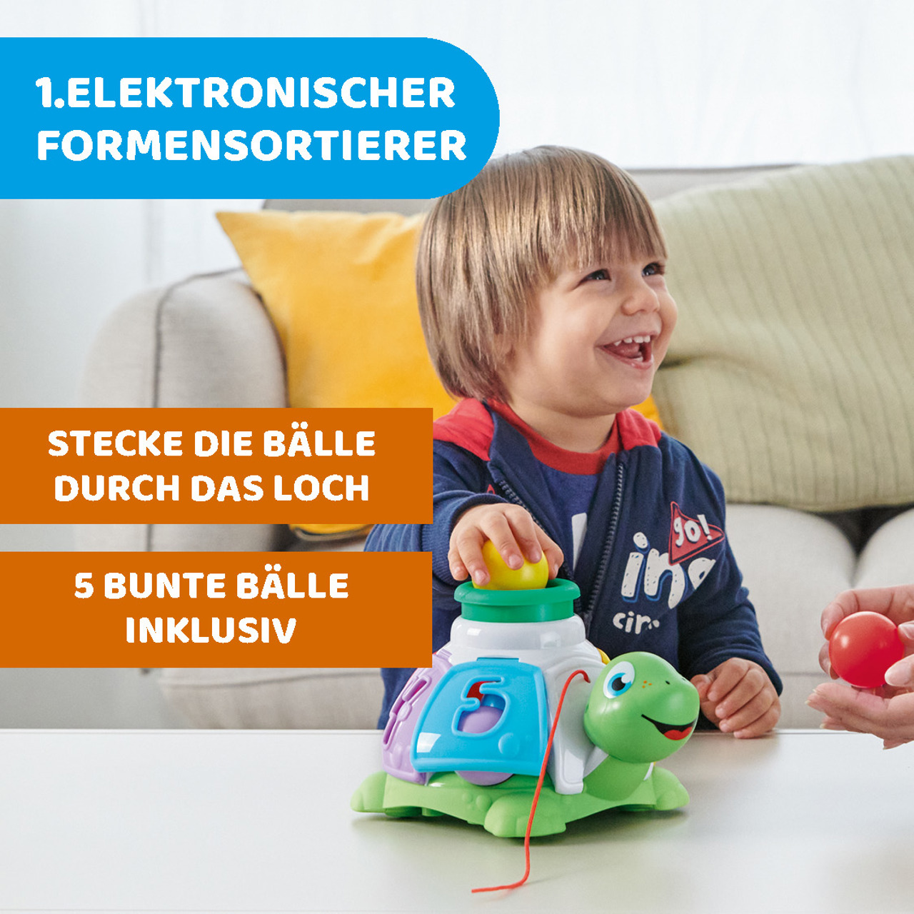 Sortier-Schildkröte zum ziehen null - 2