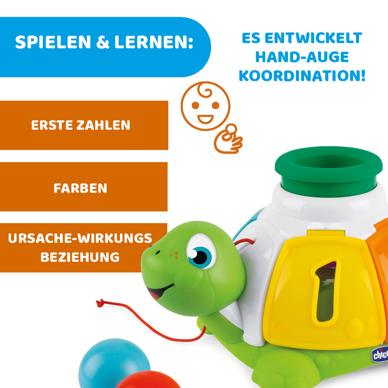 Sortier-Schildkröte zum ziehen null - 5