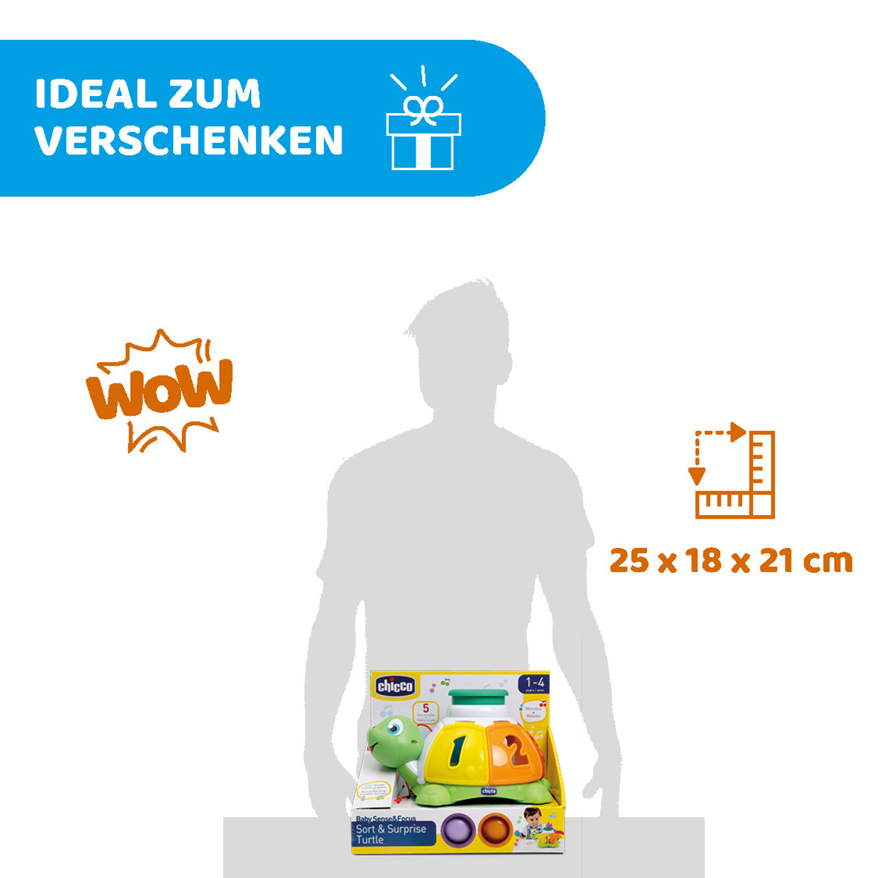 Sortier-Schildkröte zum ziehen null - 6