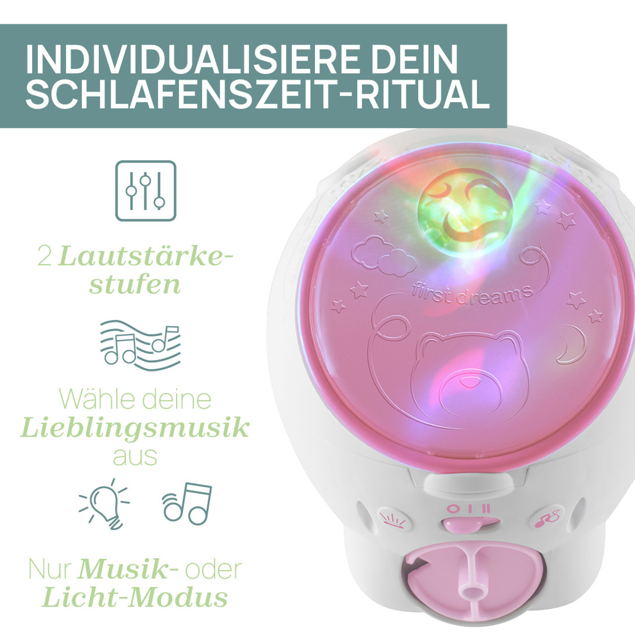 EISBÄR null - 5
