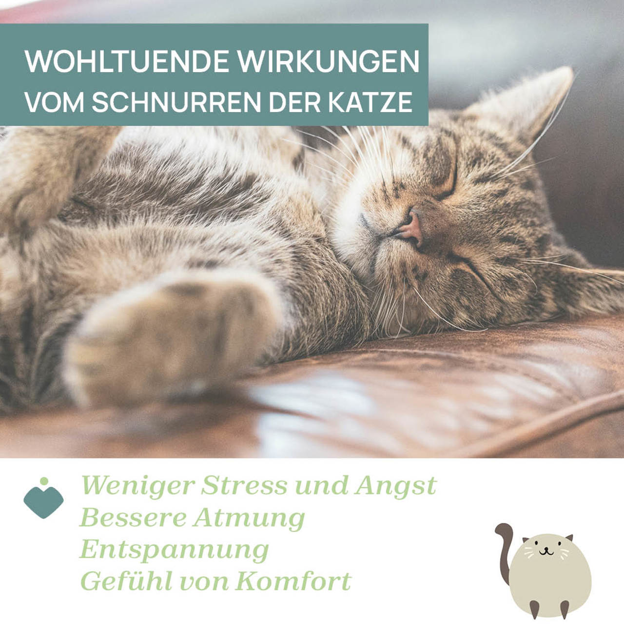 Schnurrende Katze null - 4