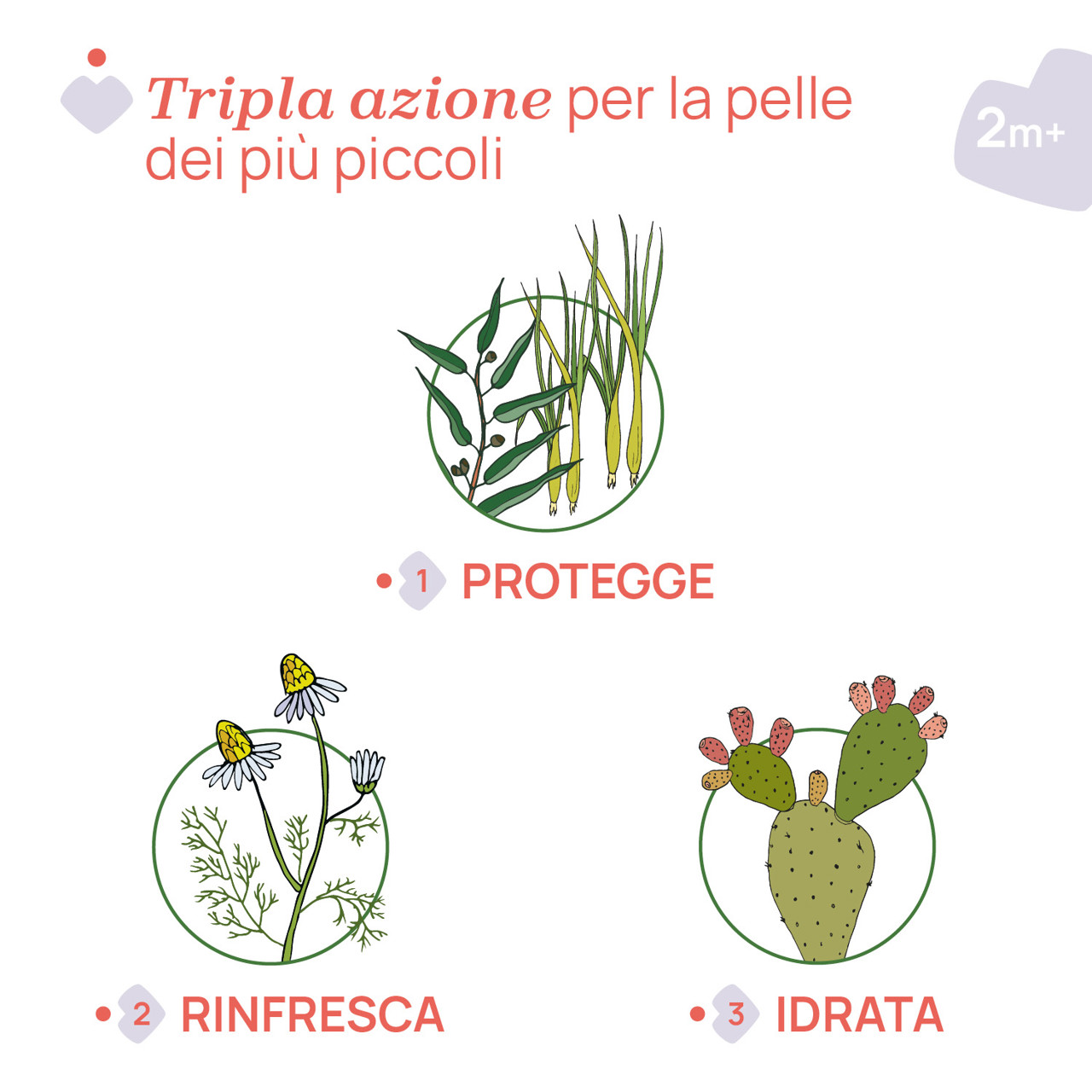 Gel NaturalZ Protettivo & Rinfrescante 60ML Chicco - 4