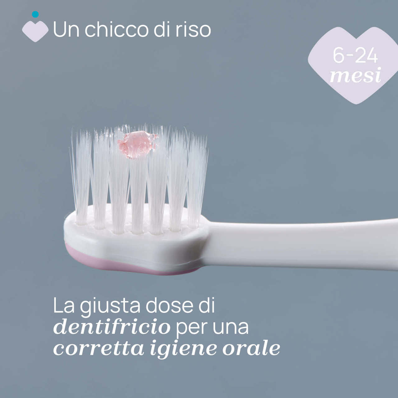 Spazzolino primi denti 6-36M null - 2