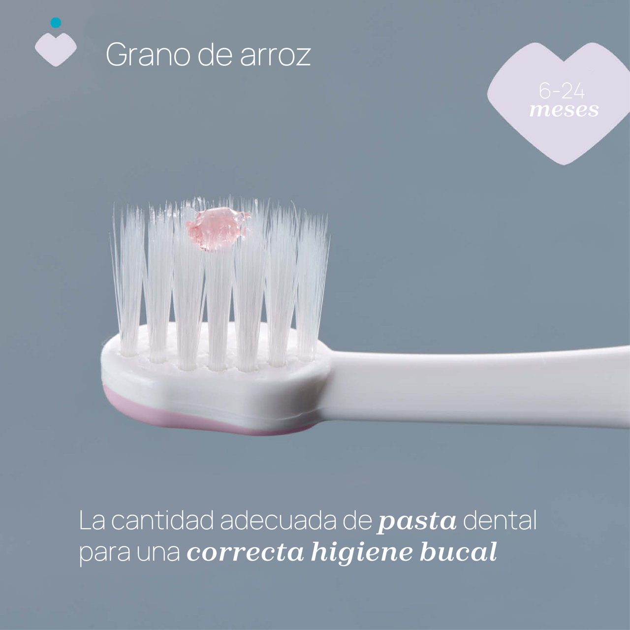 CEPILLO DE DIENTES PRIMEROS DIENTES 6-36M null - 3