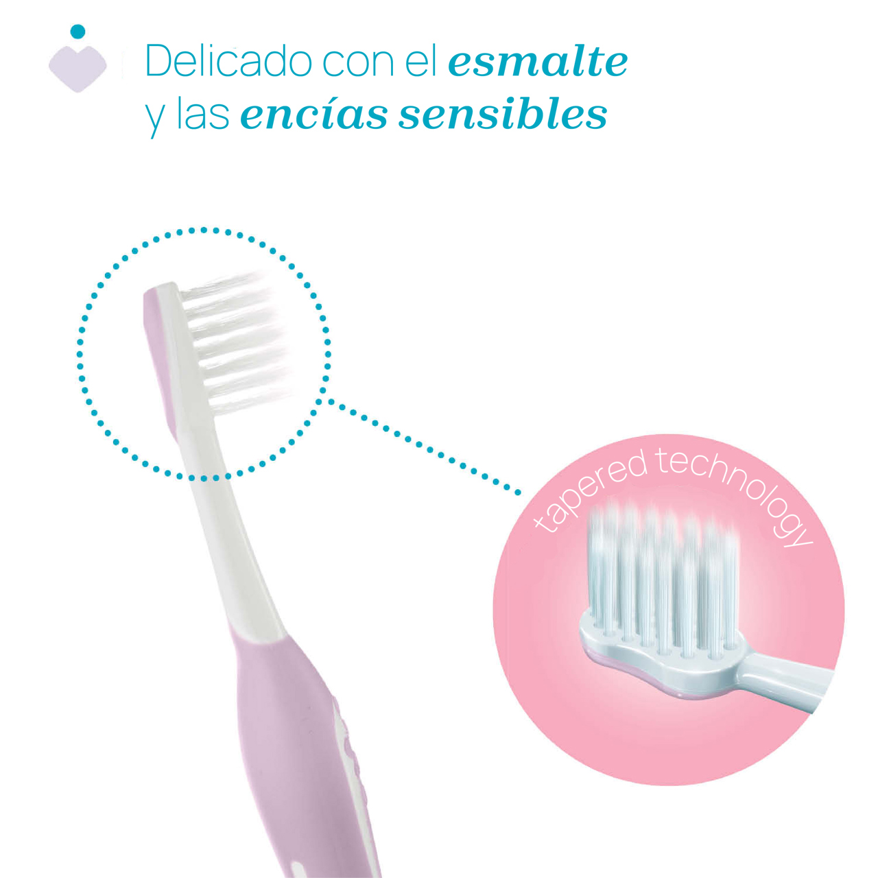 CEPILLO DE DIENTES PRIMEROS DIENTES 6-36M null - 2
