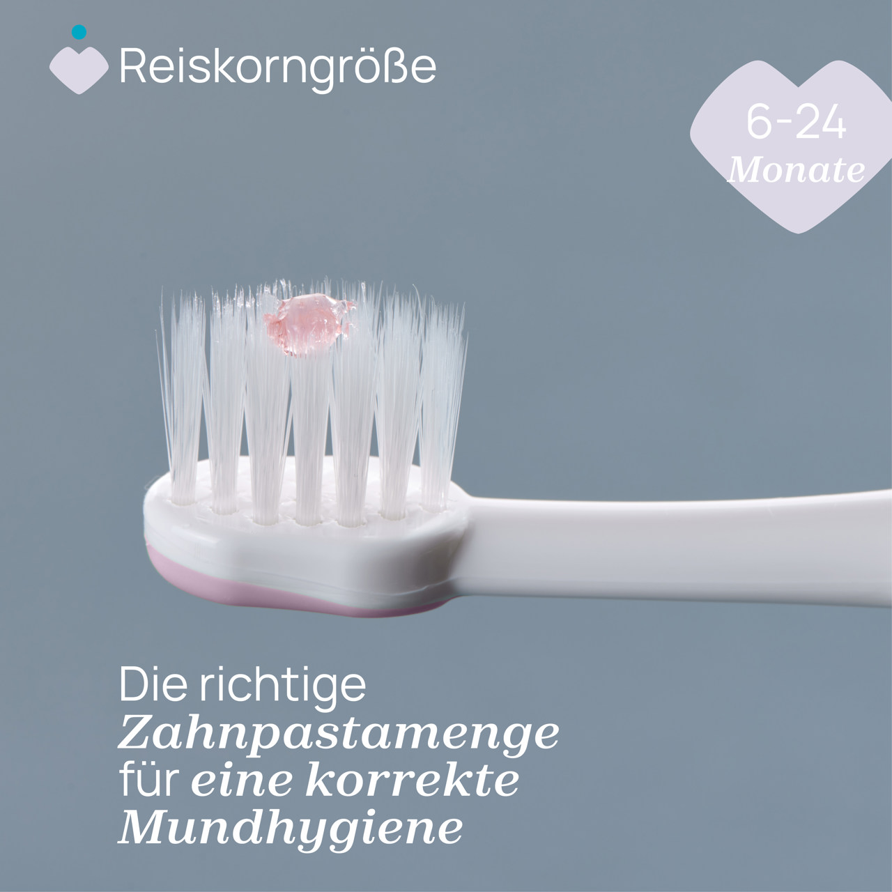 Zahnb&uuml;rste Erste Z&auml;hne 6-36M null - 4