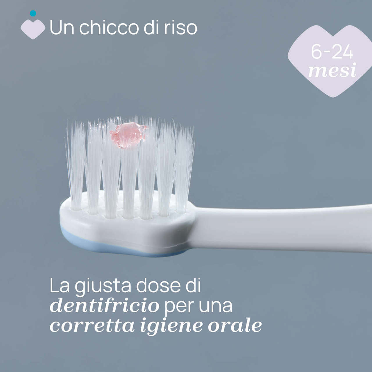 Spazzolino primi denti 6-36M null - 2