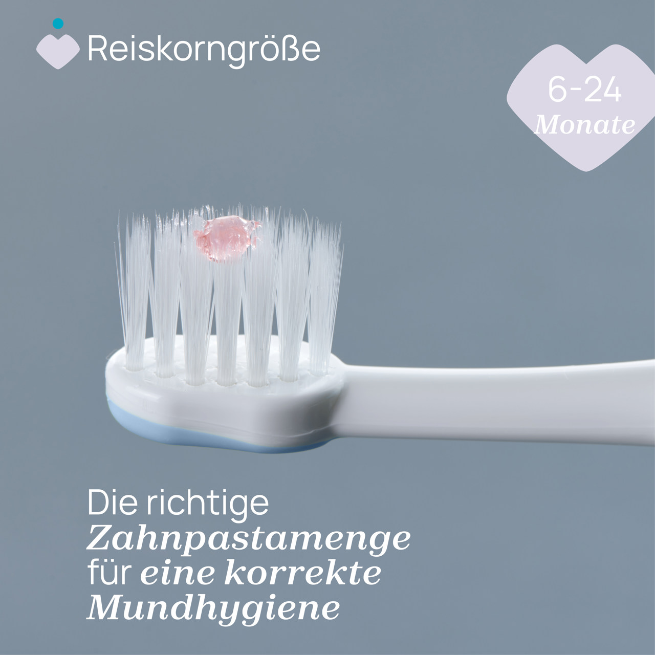 Zahnb&uuml;rste Erste Z&auml;hne 6-36M null - 6