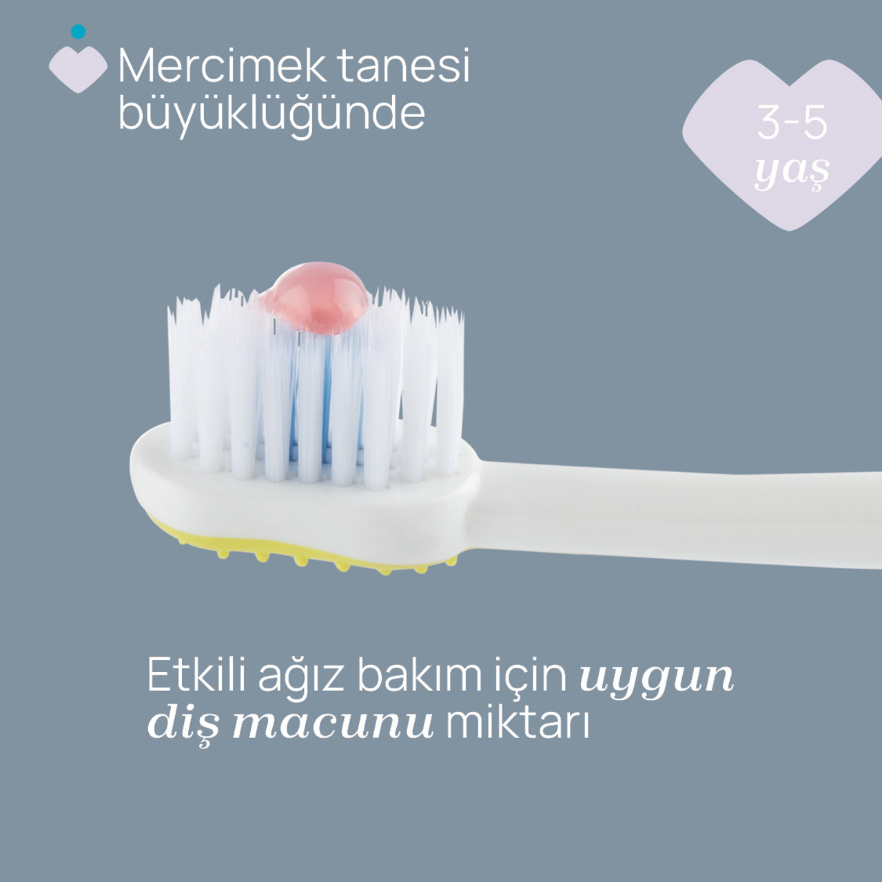 2'Lİ DİŞ FIR&Ccedil;ASI 3-6 YAŞ  null - 4