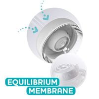 The Equilibrium Membrane