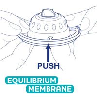 Activación de la membrana Equilibrium