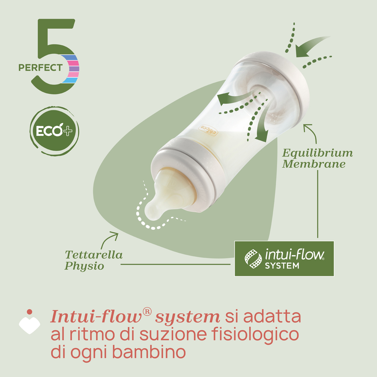  PERFECT 5 ECO+ Biberon 240ml - Flusso Medio image number 5