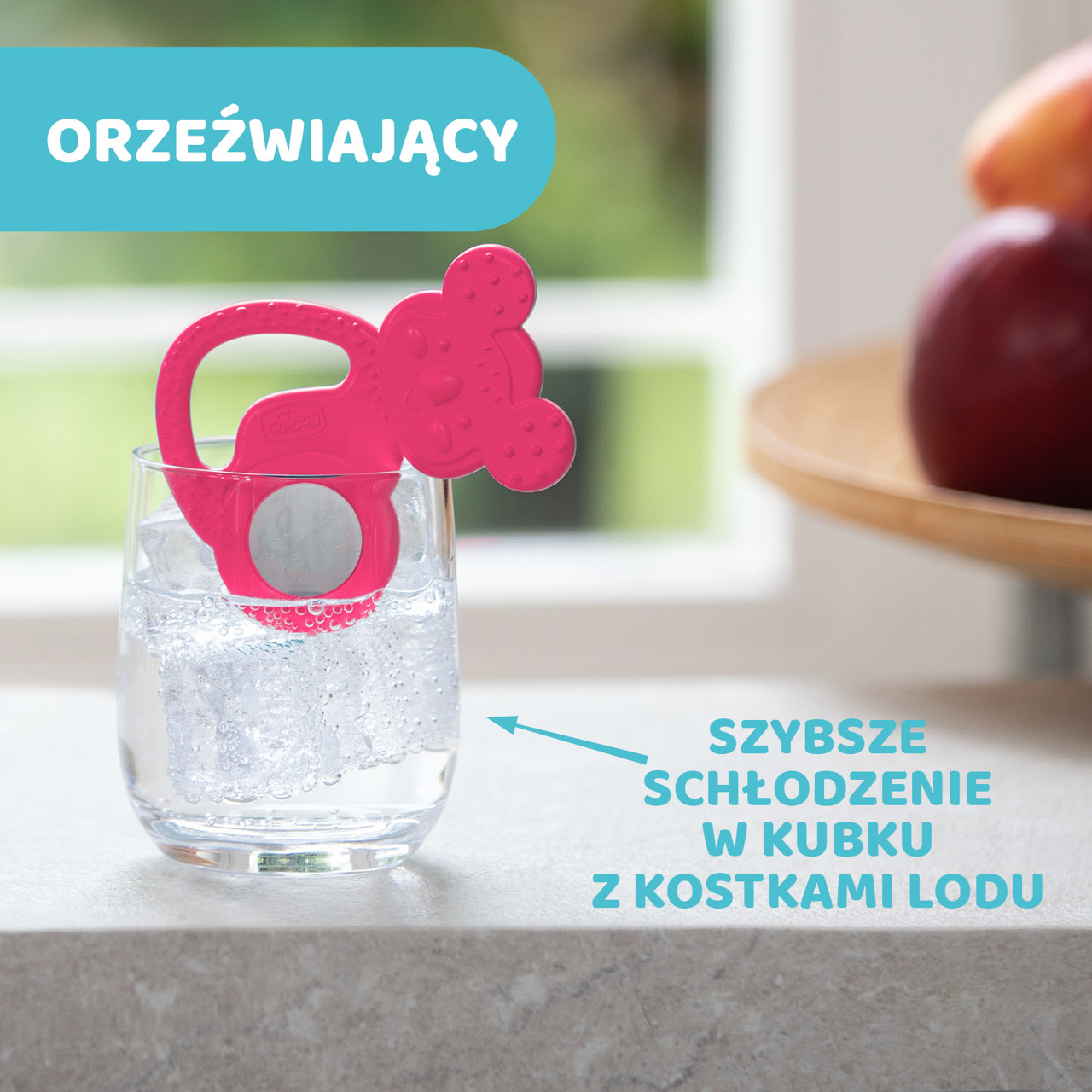 GRYZAK ZE STALĄ NIERDZEWNĄ KOALA null - 1