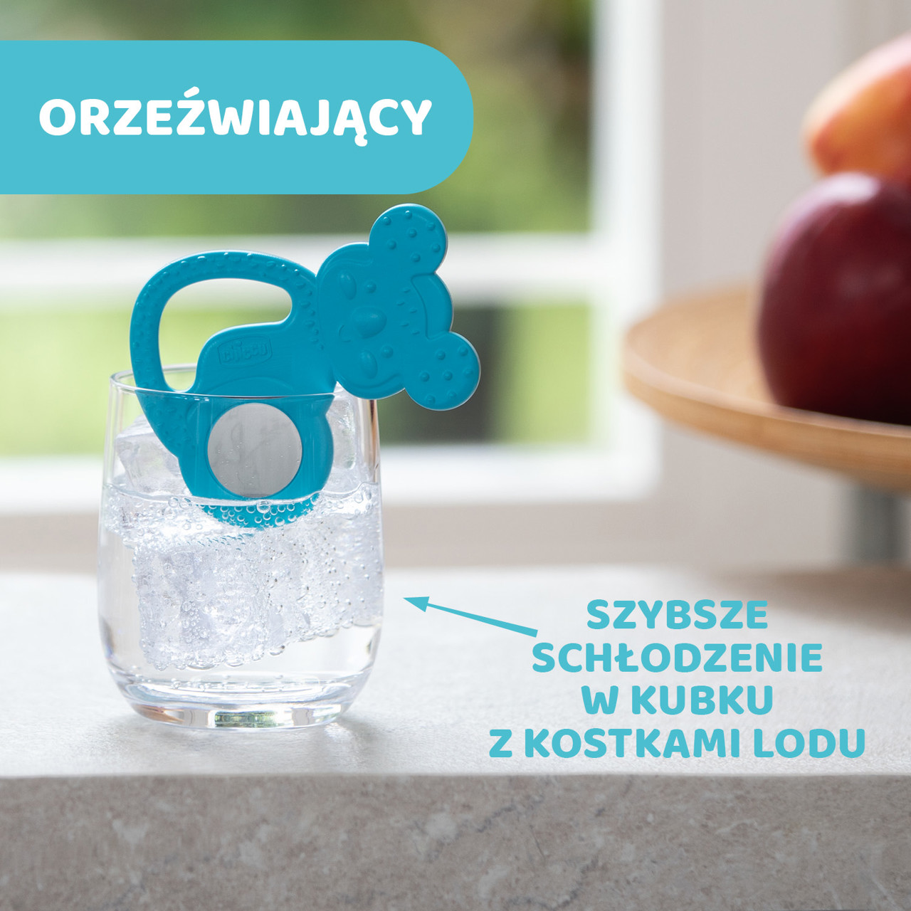 GRYZAK ZE STALĄ NIERDZEWNĄ KOALA null - 1