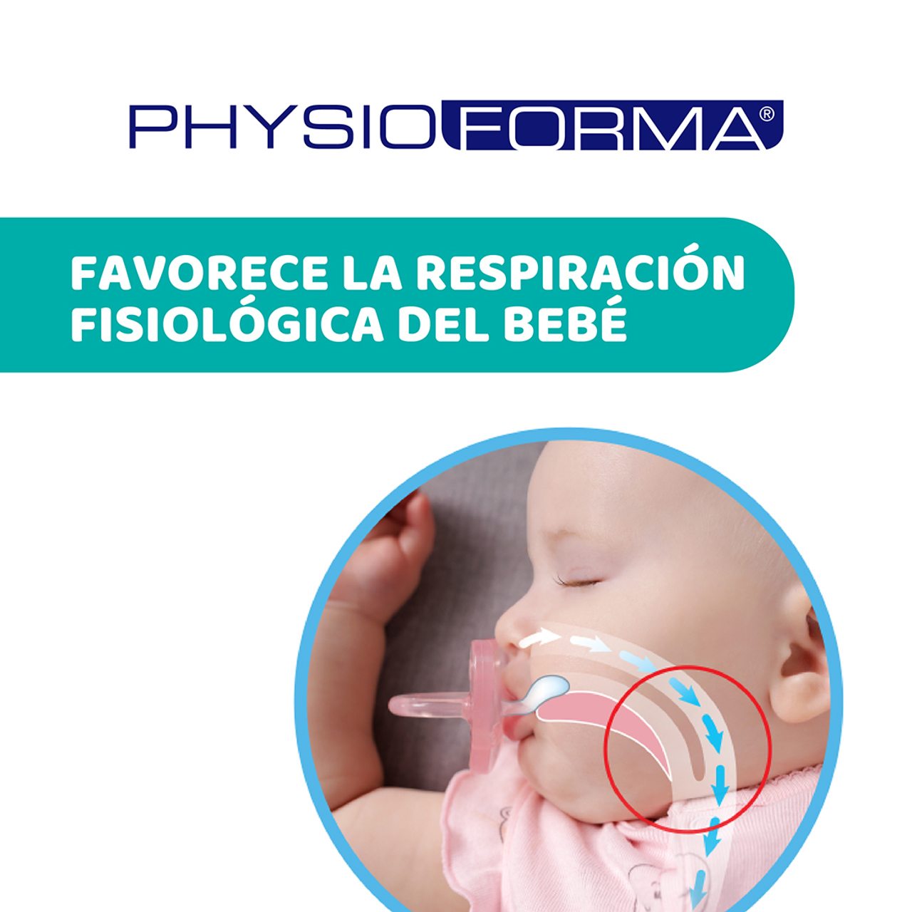 PhysioForma® Soft 16-36m null - 6
