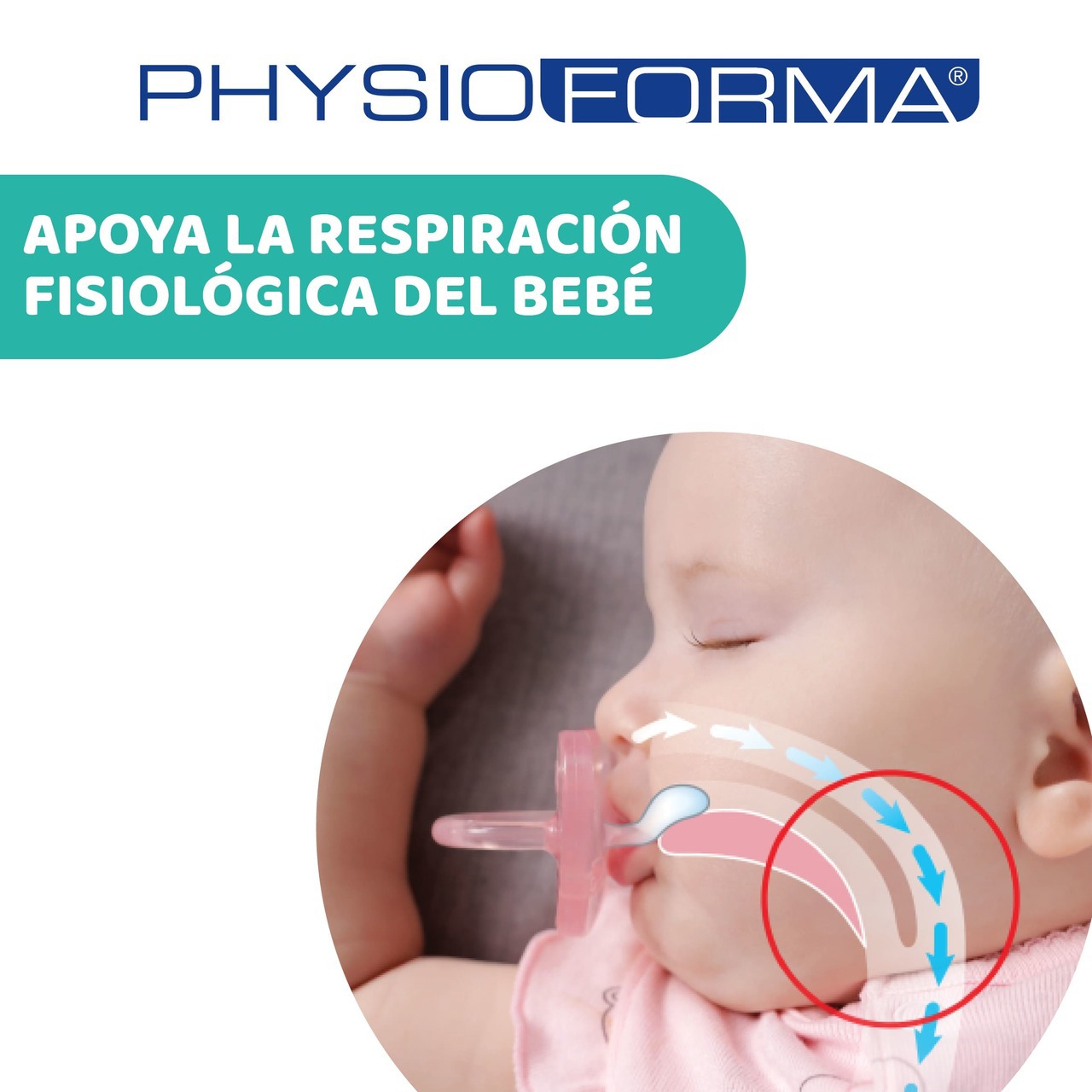 Mini Soft 0-2 m Chupete PhysioForma  image number 2