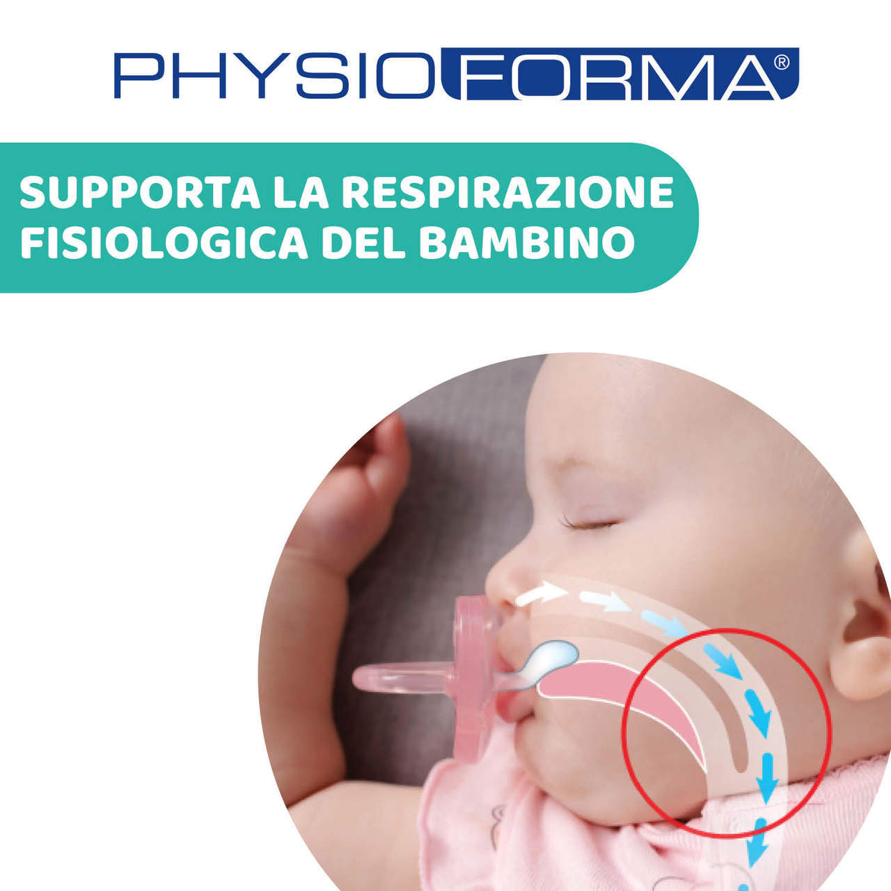 Succhietto PhysioForma® Comfort 0-6M (1 pc) image number 1