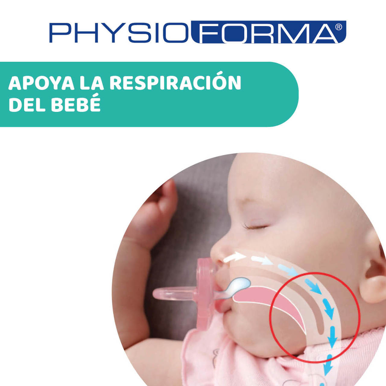 Chupete Physio Air látex 16-36m 2ud image number 2