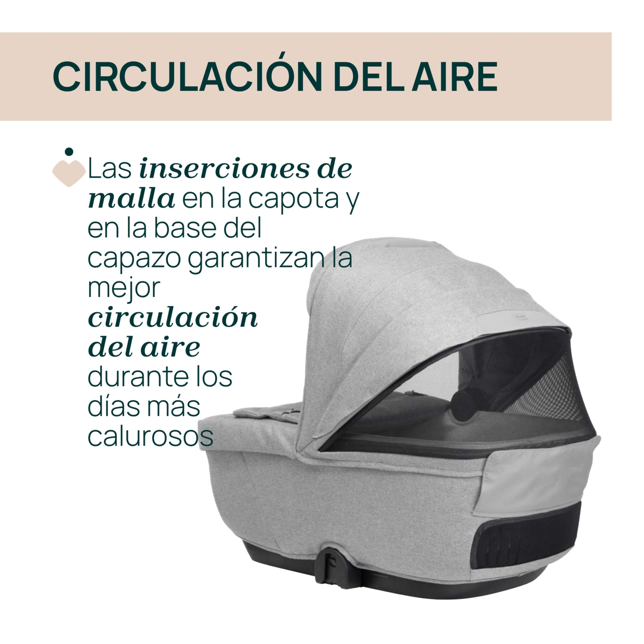 Trío Mysa con Gran Comfort y Kory Chicco - 13