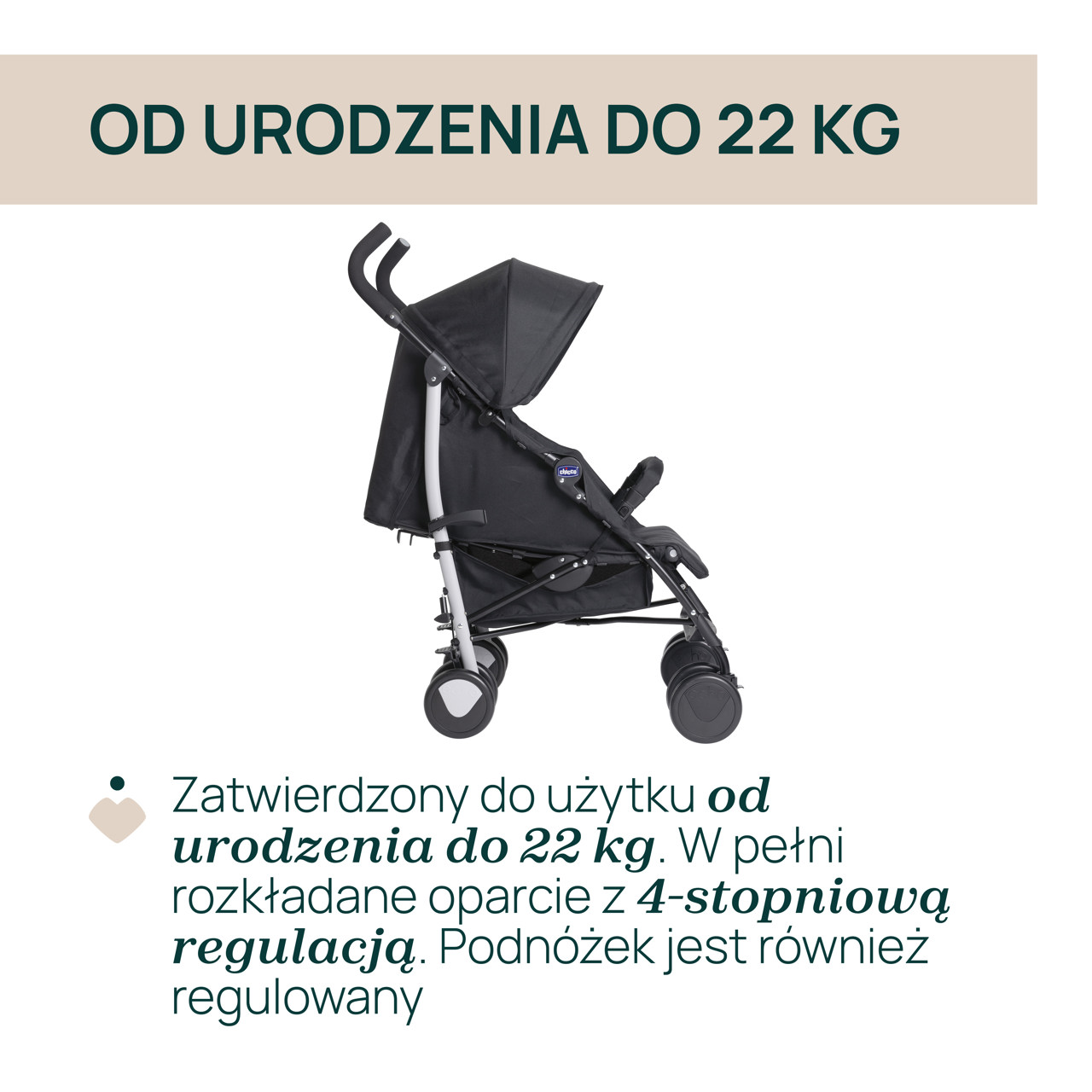 W&Oacute;ZEK ECHO  null - 1