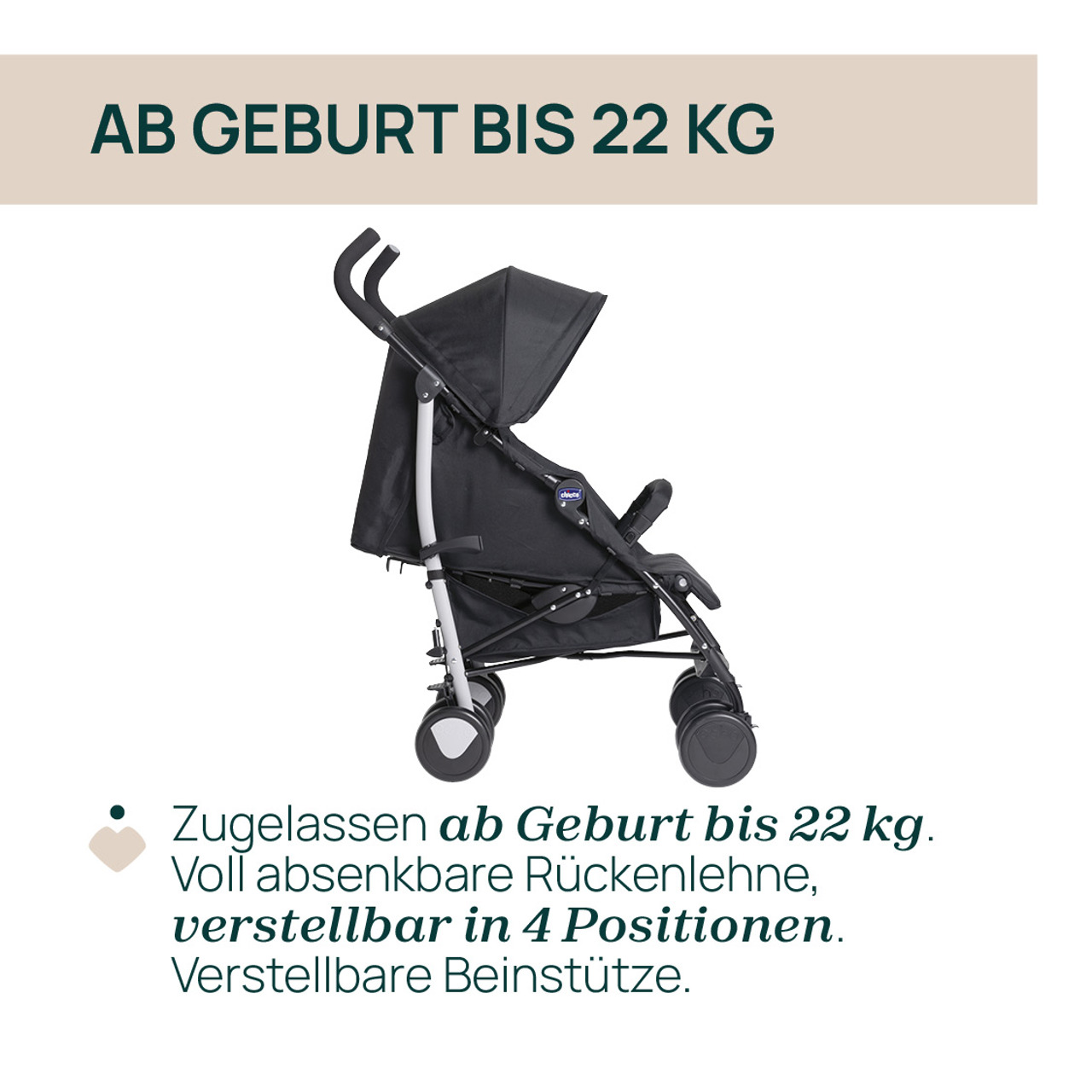 Buggy Echo Lite null - 3