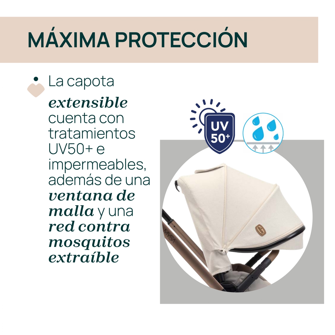 Trío Mysa con Gran Comfort y Kory Chicco - 3