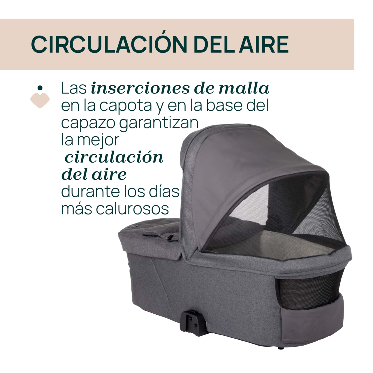 Duo Bellagio y Flexi Chicco - 13